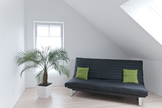 Fotolia_30815229_Subscription_L Couch neben Pflanze